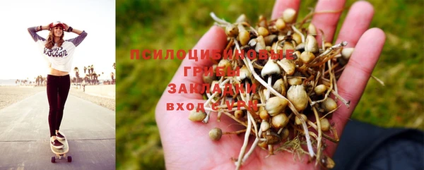 эйфоретик Белокуриха
